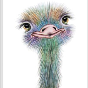Ostrich Canvas Wall Art Watercolor Cute Animal Artwork Bird Paintings for Living Room Bedroom Bathroom Decor,Stretched and Framed Ready to Hang,12x16 inches