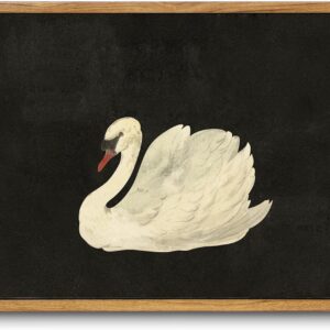 Framed Canvas Wall Art for Living Room Bedroom Decor, Vintage Antique Swan Watercolor Canvas Painting, Rustic Bathroom Decor Wall Art, Classical Swan Vintage Wall Art(8"x10")