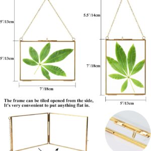 2 pcs Hanging Photo Frame, 5x7 inch Double Glass Frame for Pressed Flowers,Clear DIY Vintage Artwork Display Frame Wall Mounted Photos Frame（horizontal+vertical）